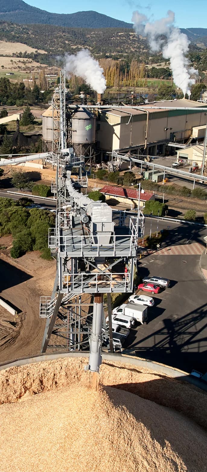 Paper & Pulp Manufacturing Company, part of India's leading Business Conglomerate