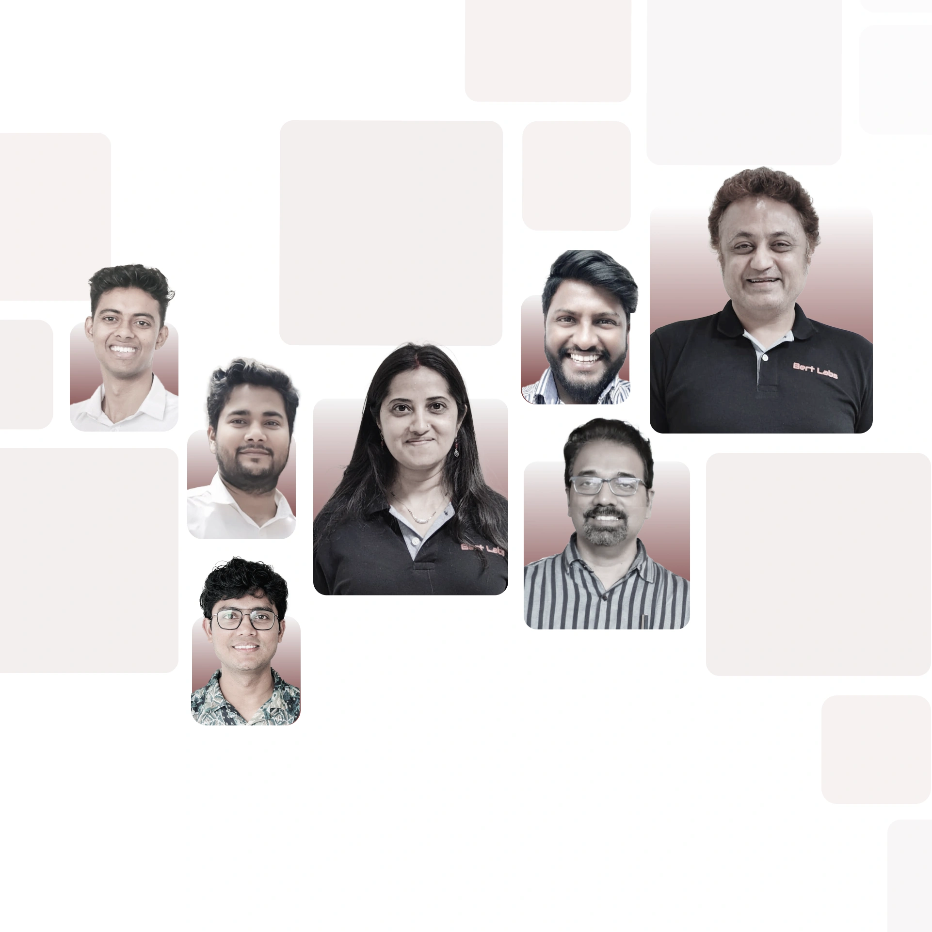 About Bert Labs Banner
